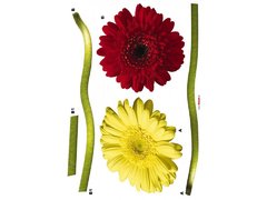 Stickere decorative komar cod-17011gerbera 50X70CM