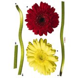 Stickere decorative komar cod-17011gerbera 50X70CM